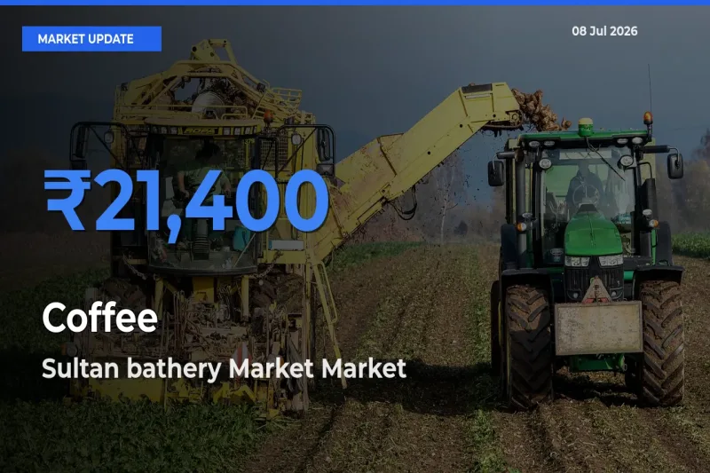 Sultan bathery Market Records Highest ₹21,400 Rate for Coffee