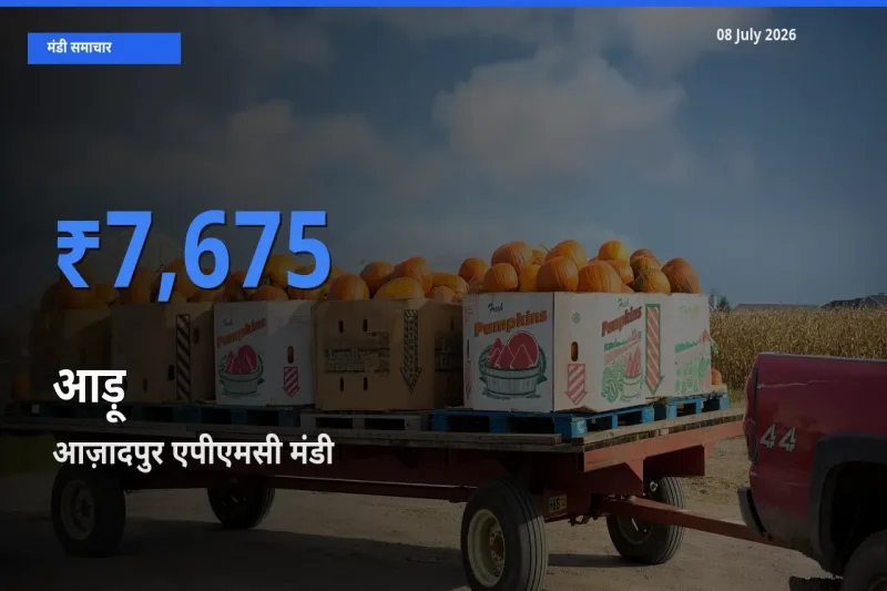 आज का मंडी भाव: आड़ू के सबसे ज़्यादा दाम आज़ादपुर एपीएमसी में