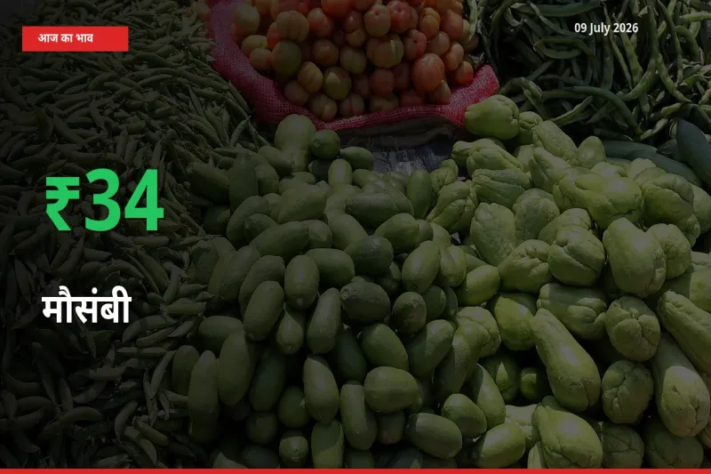 मौसंबी 33.72% उछला, मंडी