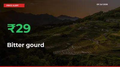 Sharp Jump! Bitter gourd Prices Climb 28.59% in 24 Hours at Key Mandis