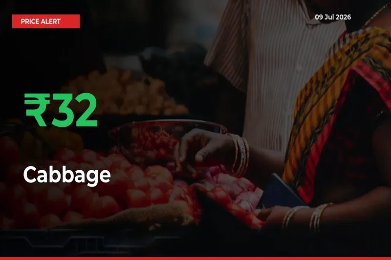 This Mandi Records 31.91% Jump in Cabbage Prices