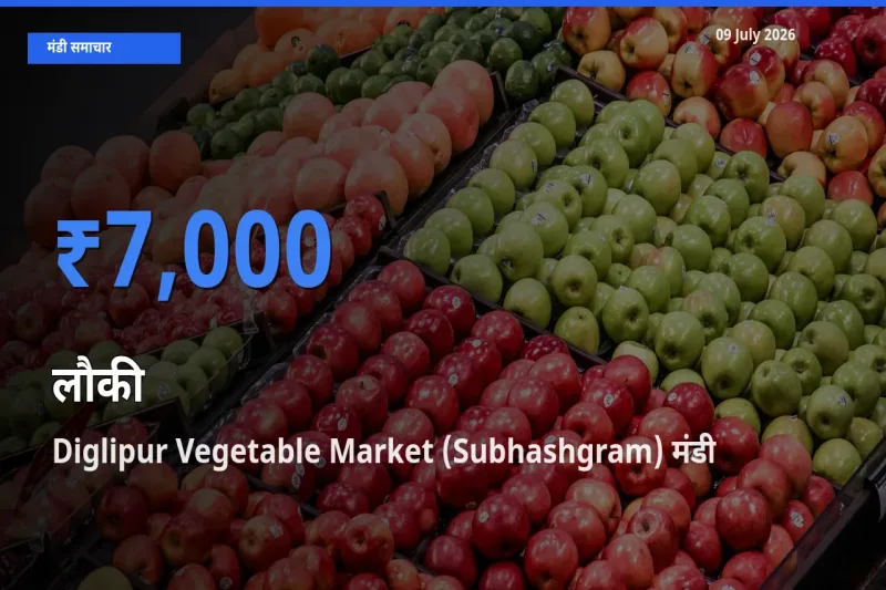 आज लौकी के सबसे ऊँचे दाम ₹7,000 Diglipur Vegetable Market (Subhashgram) मंडी में