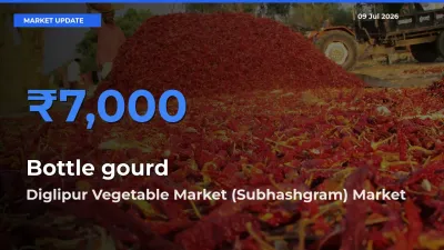 Diglipur Vegetable Market (Subhashgram) Emerges as Top Mandi for Bottle gourd Prices Today