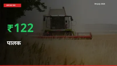आज का मंडी भाव: पालक के दाम मंडी में 122.25% ऊपर