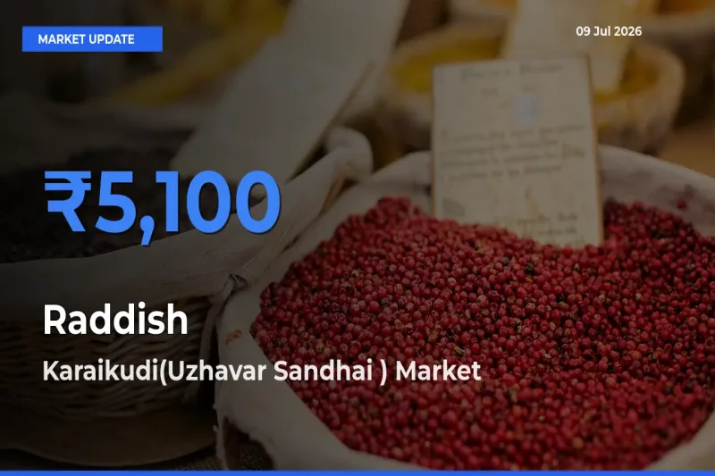 Karaikudi(Uzhavar Sandhai ) Emerges as Top Mandi for Raddish Prices Today