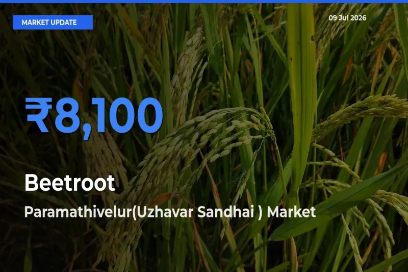 Paramathivelur(Uzhavar Sandhai ) Emerges as Top Mandi for Beetroot Prices Today