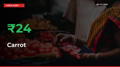 Why Carrot Prices Rose 23.6% in a Day at Mandis