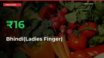Farmers Cheer as Bhindi(Ladies Finger) Prices Surge 16.17% in Local Mandis