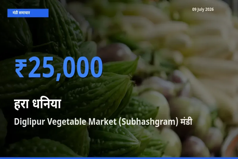 आज हरा धनिया के सबसे ऊँचे दाम ₹25,000 Diglipur Vegetable Market (Subhashgram) मंडी में