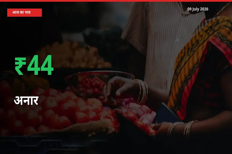 तेज़ तेजी! मंडी में अनार के दाम 43.56% चढ़े