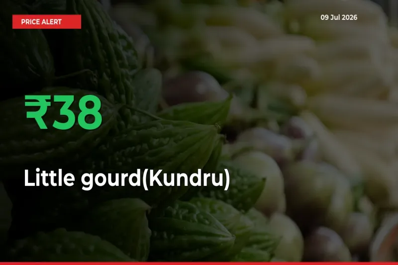 This Mandi Records 38.03% Jump in Little gourd(Kundru) Prices