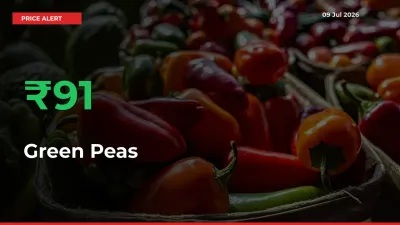 Sharp Jump! Green Peas Prices Climb 91.44% in 24 Hours at Key Mandis