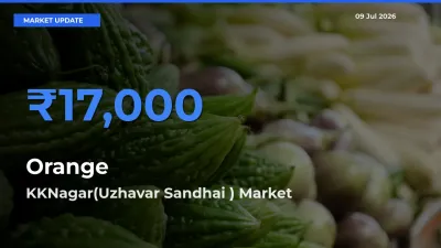KKNagar(Uzhavar Sandhai ) Tops Orange Mandi Rates Today