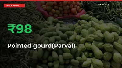 Sudden 98.35% Rally in Pointed gourd(Parval) Prices Across Mandis