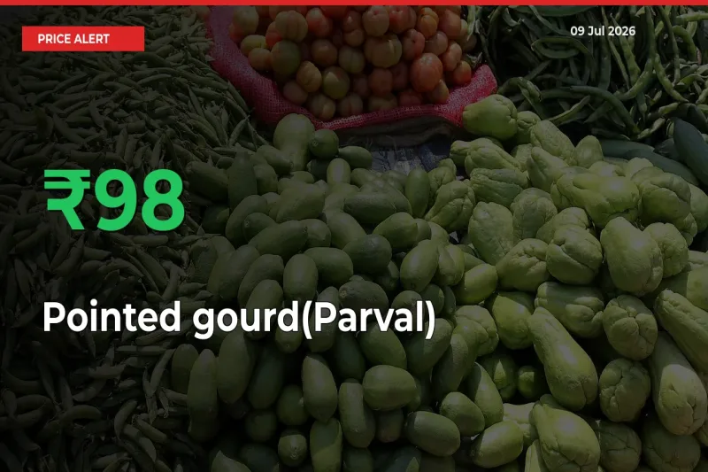 Sudden 98.35% Rally in Pointed gourd(Parval) Prices Across Mandis