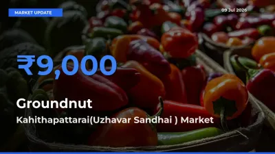 Kahithapattarai(Uzhavar Sandhai ) Emerges as Top Mandi for Groundnut Prices Today