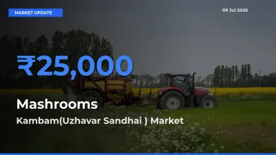 Kambam(Uzhavar Sandhai ) Offers ₹25,000 – Highest Mashrooms Rate Today