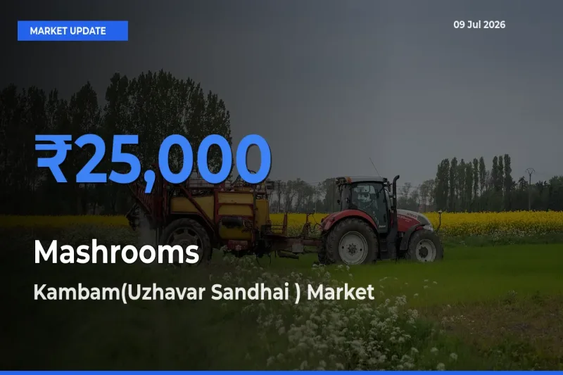 Kambam(Uzhavar Sandhai ) Offers ₹25,000 – Highest Mashrooms Rate Today