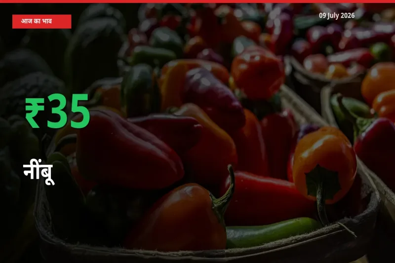अचानक तेजी! मंडी में नींबू के दाम 34.86% चढ़े