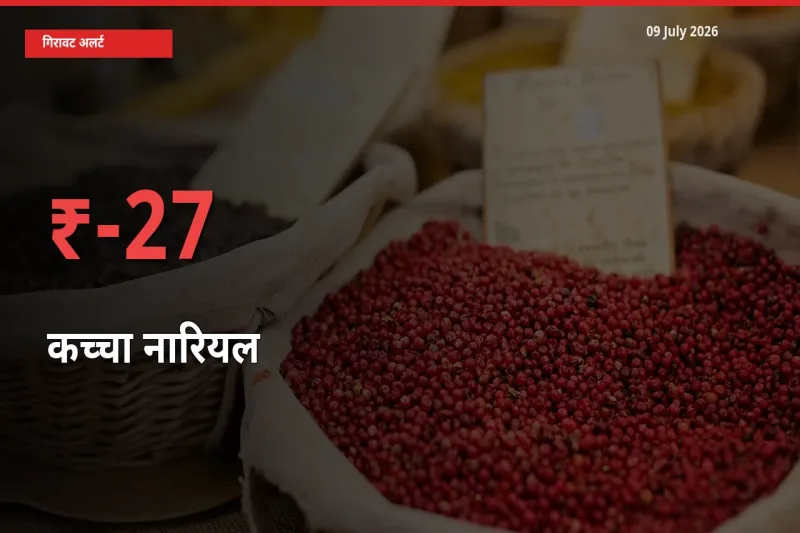 कच्चा नारियल के दाम प्रमुख मंडी में 26.97% गिरे, 24 घंटे में बड़ा बदलाव