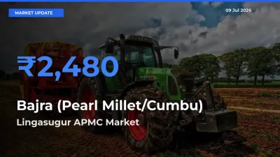 Lingasugur APMC Tops Bajra (Pearl Millet/Cumbu) Mandi Rates Today
