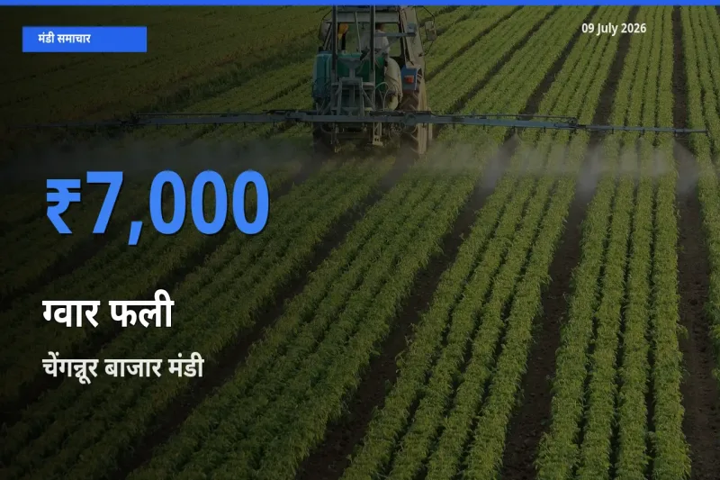बाज़ार संकेत: चेंगन्नूर बाजार बना ग्वार फली के लिए आज की टॉप मंडी