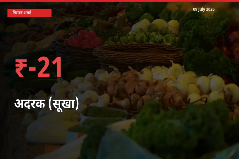 आज का मंडी भाव: अदरक (सूखा) के दाम मंडी में 20.85% नीचे