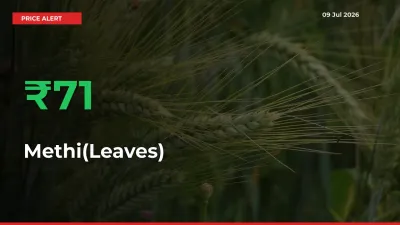 Methi(Leaves) Rises 71.3% at Mandis