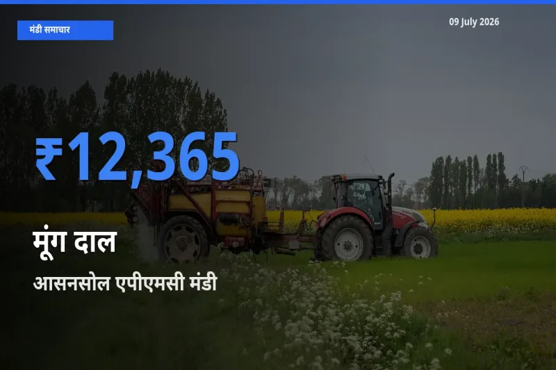 आज का मंडी भाव: मूंग दाल के सबसे ज़्यादा दाम आसनसोल एपीएमसी में