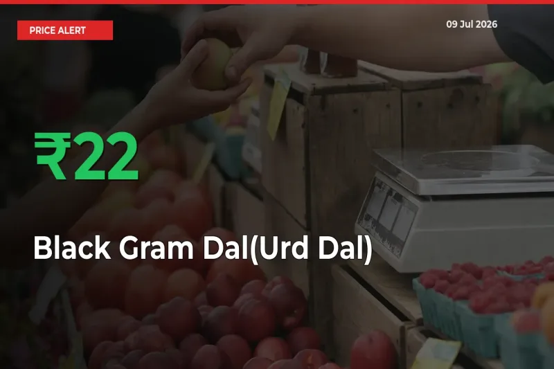 22.28% Spike in Black Gram Dal(Urd Dal) Prices – Mandi Sees Sudden Rally