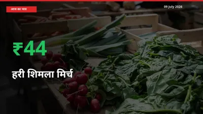 हरी शिमला मिर्च के दाम प्रमुख मंडी में 43.81% बढ़े, 24 घंटे में बड़ा बदलाव