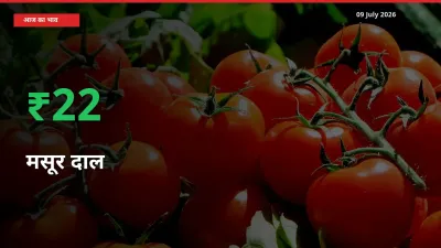 बाज़ार संकेत: मसूर दाल के भाव मंडी में 22.28% ऊपर