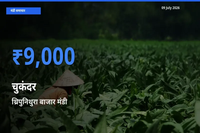 किसानों की पसंद बना थ्रिपुनिथुरा बाजार, चुकंदर के सबसे अच्छे दाम