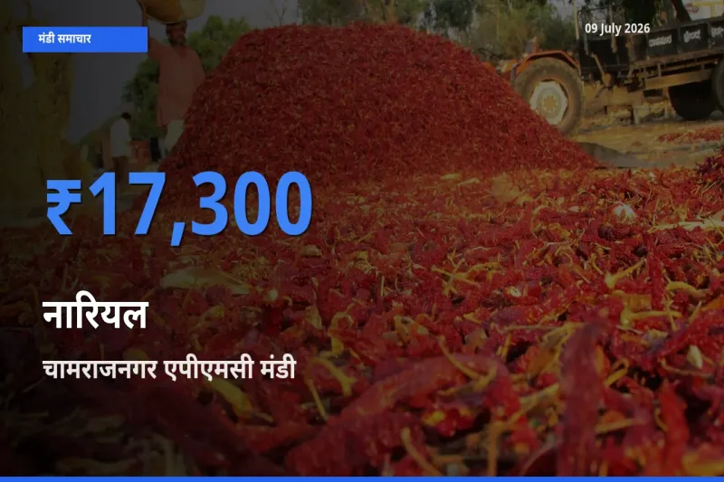 चामराजनगर एपीएमसी मंडी में नारियल ₹17,300 पर पहुँचा – आज का सर्वोच्च भाव