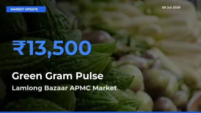 Green Gram Pulse Mandi Rate Today: Lamlong Bazaar APMC Tops the List