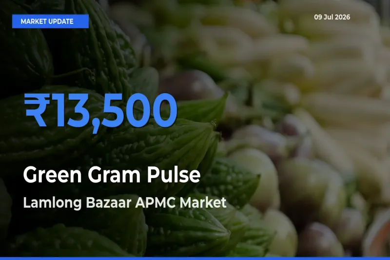 Green Gram Pulse Mandi Rate Today: Lamlong Bazaar APMC Tops the List