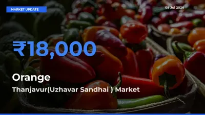 Thanjavur(Uzhavar Sandhai ) Emerges as Top Mandi for Orange Prices Today