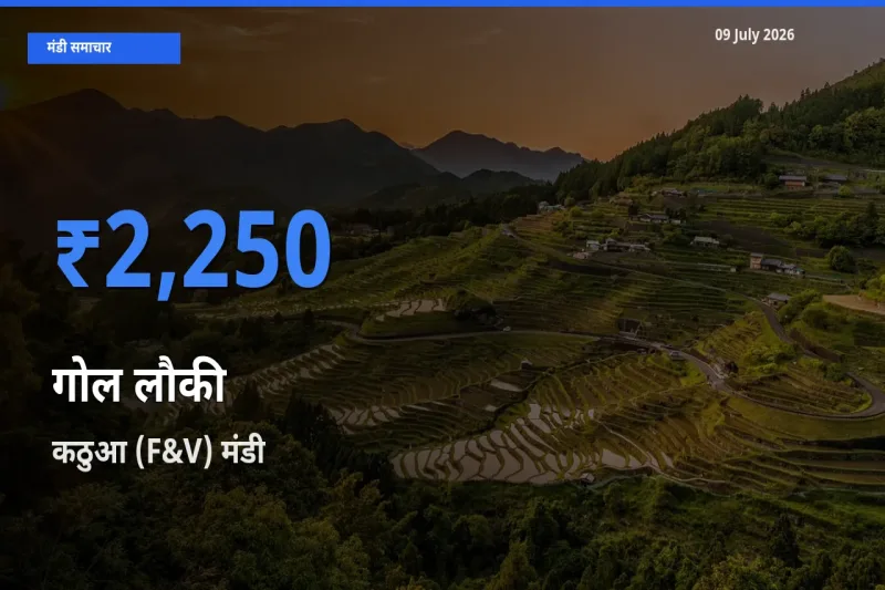 आज का मंडी भाव: गोल लौकी के सबसे ज़्यादा दाम कठुआ (F&V) में