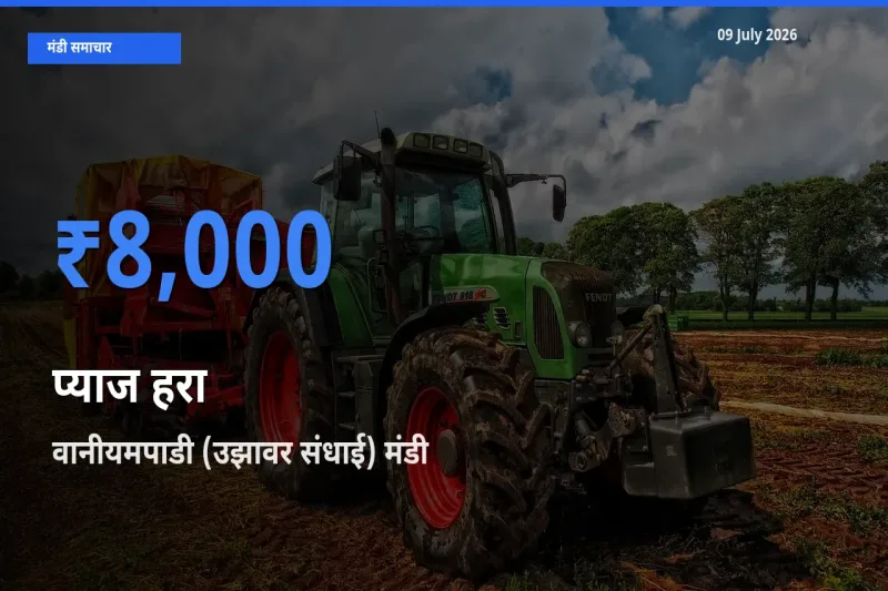 09 July अपडेट: प्याज हरा के सबसे ऊँचे दाम वानीयमपाडी (उझावर संधाई) मंडी में