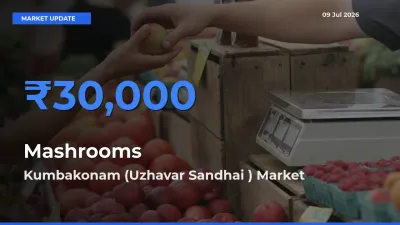 Kumbakonam (Uzhavar Sandhai ) Emerges as Top Mandi for Mashrooms Prices Today
