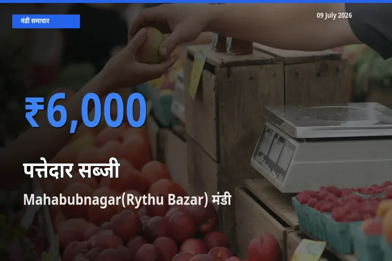 बाज़ार संकेत: Mahabubnagar(Rythu Bazar) बना पत्तेदार सब्जी के लिए आज की टॉप मंडी