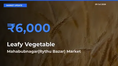 Market Watch: Mahabubnagar(Rythu Bazar) Becomes Top Mandi for Leafy Vegetable