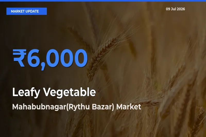 Market Watch: Mahabubnagar(Rythu Bazar) Becomes Top Mandi for Leafy Vegetable