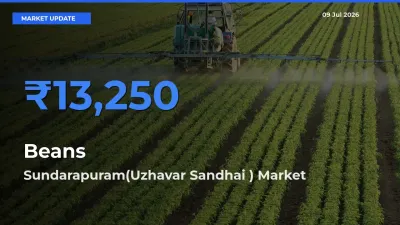 Sundarapuram(Uzhavar Sandhai ) Emerges as Top Mandi for Beans Prices Today