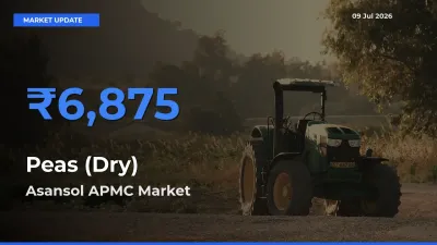 Market Watch: Asansol APMC Becomes Top Mandi for Peas (Dry)