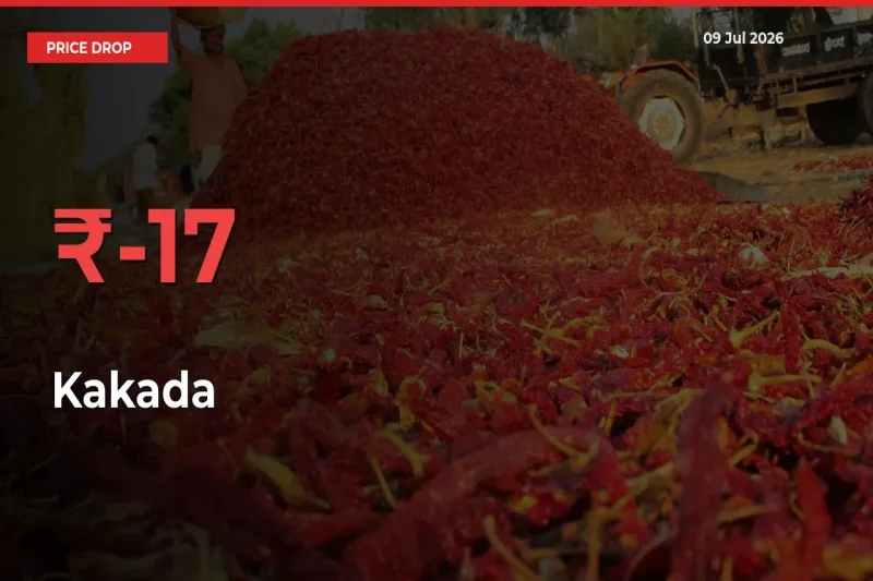 Kakada Prices Drop 17.32% in 24 Hours at Major Mandis