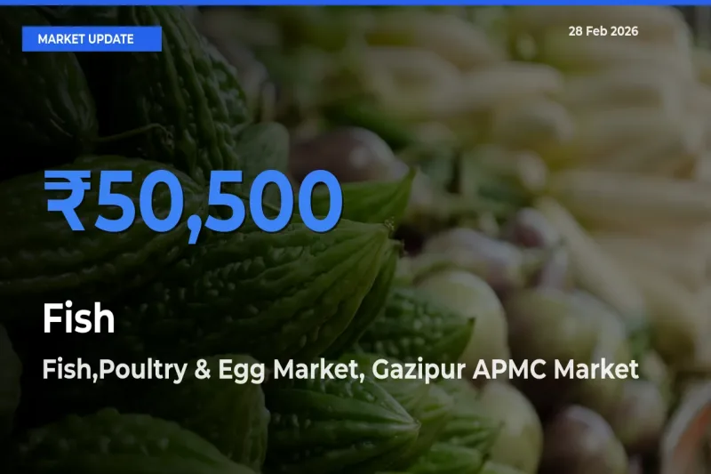 Fish Mandi Rate Today: Fish,Poultry & Egg Market, Gazipur APMC Tops the List