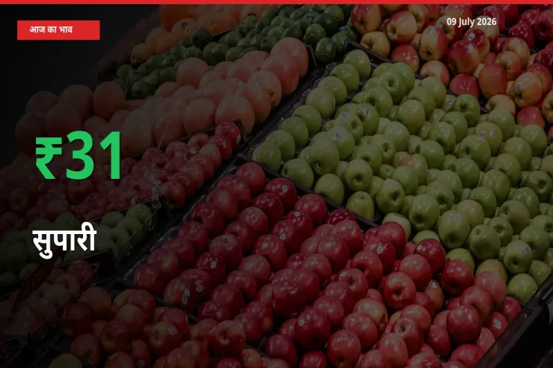 सुपारी 30.71% उछला, मंडी