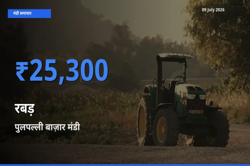 टॉप मंडी बना पुलपल्ली बाज़ार! रबड़ के सबसे ऊँचे दाम यहीं दर्ज