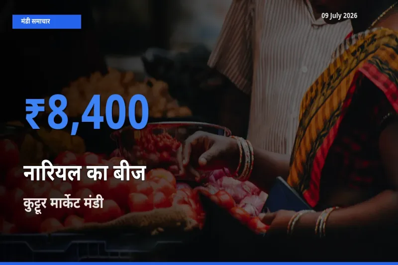टॉप मंडी बना कुट्टूर मार्केट! नारियल का बीज के सबसे ऊँचे दाम यहीं दर्ज